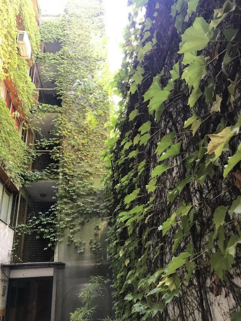 Departamento De 2 Dormitorios, Excelente Ubicacion Мендоса Екстер'єр фото